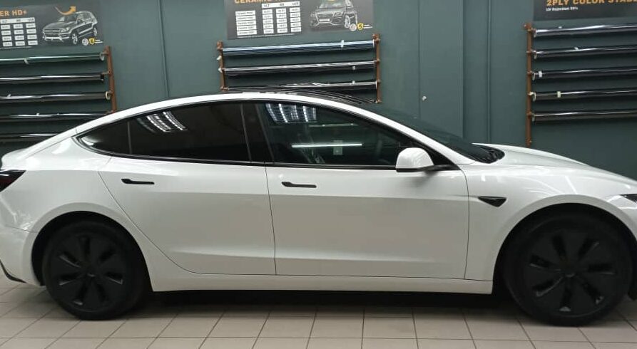 Satisficed Tinted Customer